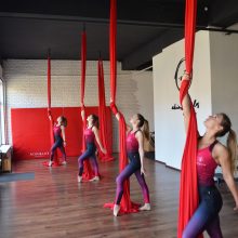 AcrobatiX Štúdio - akadémia vzdušnej akrobacie, Bajkalská 12B